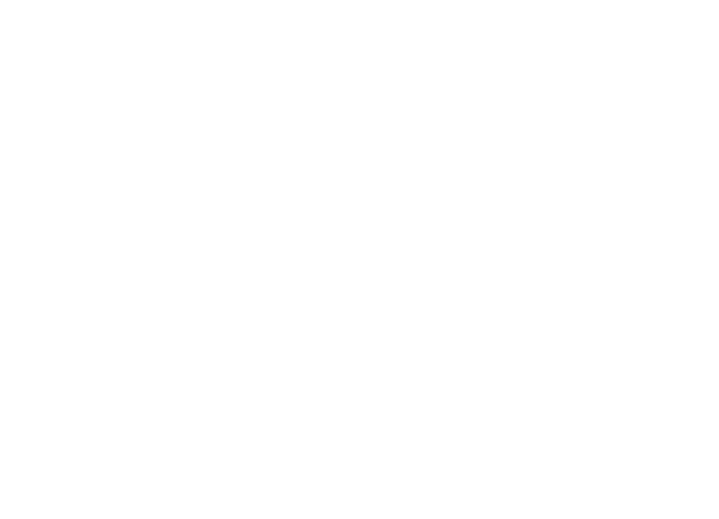 SiLee Films Film Laurel graphic: Cluj Festival 2014